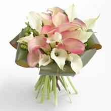 Pink and White Calla Lilies Bouquet Pink and White Calla Lilies Bouquet