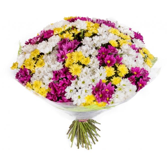 Mixed Bouquet Of Chrysanthemums product902